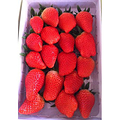 草莓价格_沂源草莓//周末来采摘批发价格_淄博市