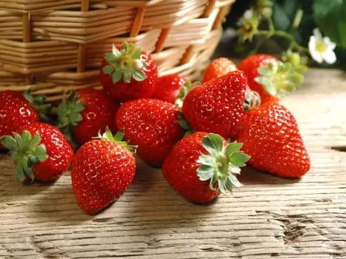 草莓哪里摘 江津各地采摘攻略赶紧收藏