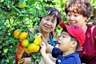 以美食促旅游 无锡好味道成旅游亮点