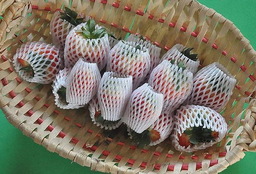 青浦红颜草莓,从草莓园 感受舌尖的美味