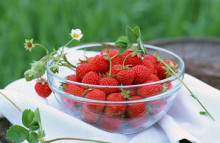 [【独家产品】香雪海赏梅-采草莓1日游] 全城最低价,十里梅花香雪海,享采摘草莓之乐趣 旅游团购_特价旅游线路预订_同程网