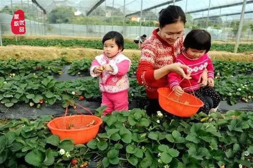 选择有机产品,就是在营造你想要的世界