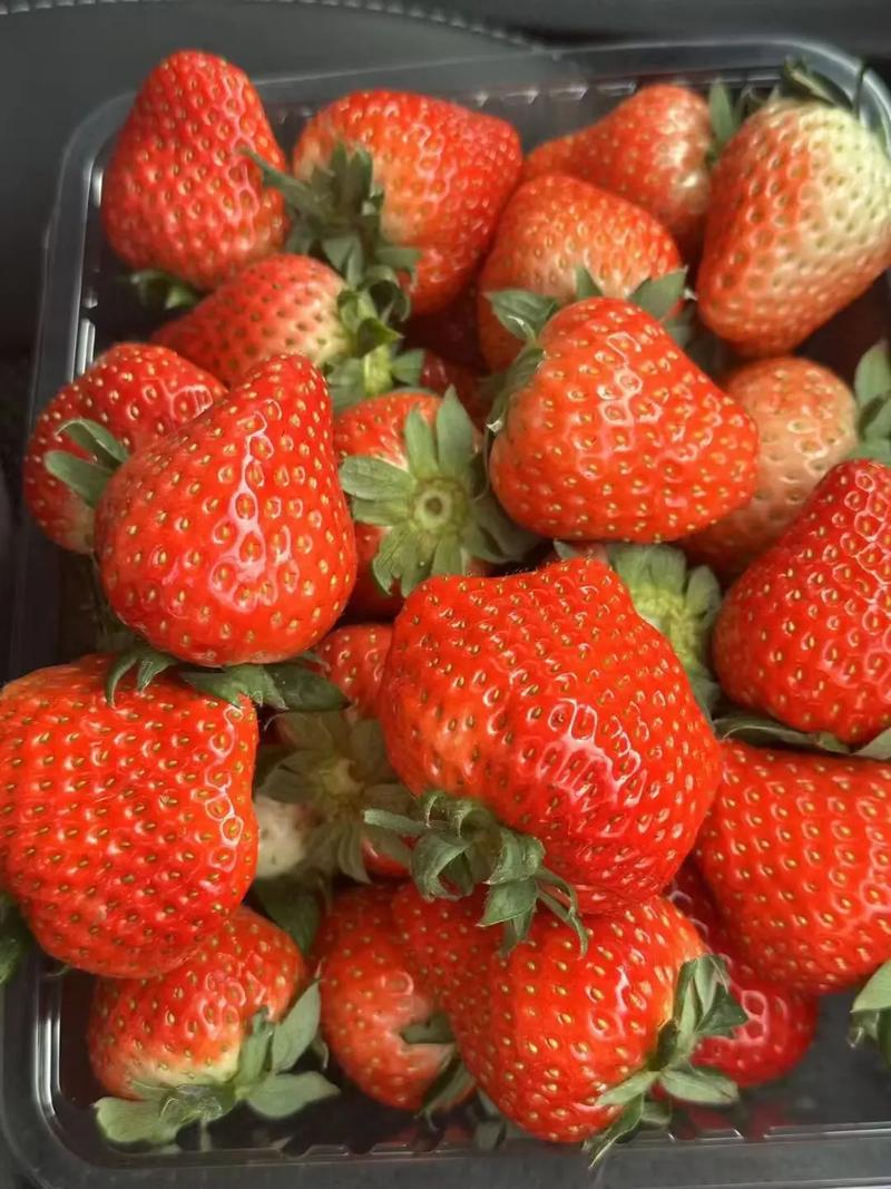 草莓采摘园地址:霍邱县 临水镇 付台村六组新的一年迎着