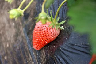 政企牵手 扶贫扶志 旅游商品企业组织贫困学生开展暖心行动活动