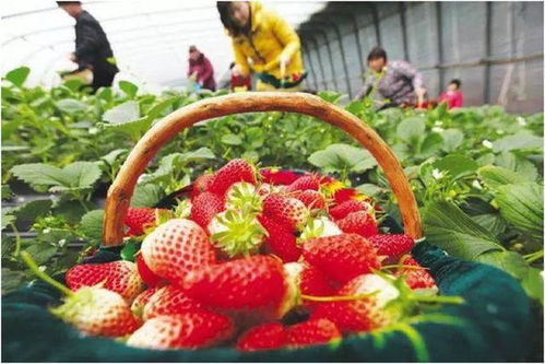 水韵江苏 醉美泗阳 五一假期,来邂逅泗阳的春天