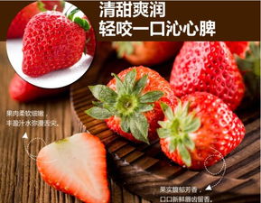 报名ing 亲亲大自然 蔬菜 草莓欢乐采摘一日游