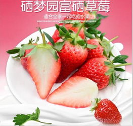 春夏交替买草莓 要学会分辨真伪